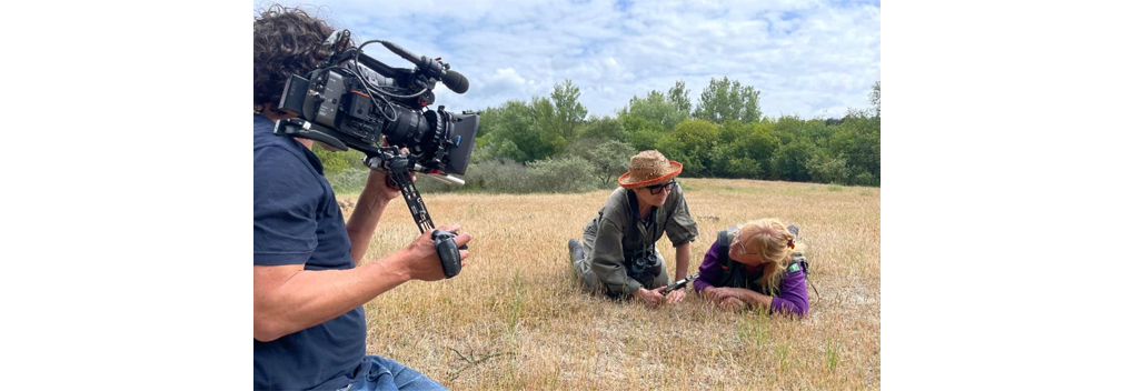 Frédérique Spigt onderzoekt de rijke natuur van Zeeland